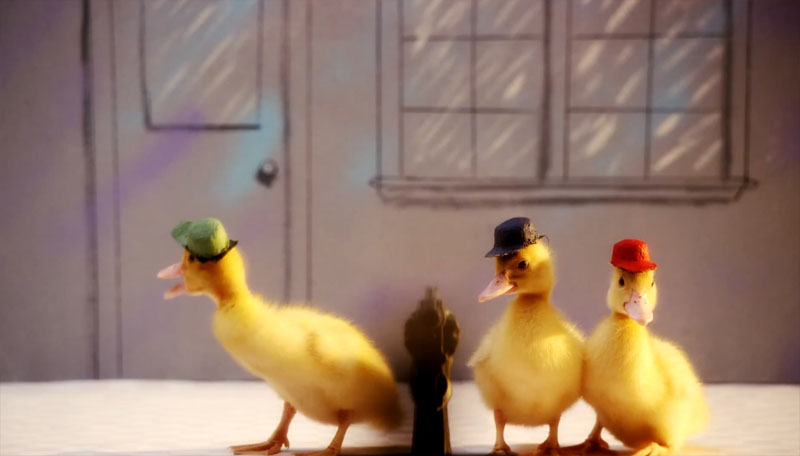 VIDEO: Οι τίτλοι αρχής του “Ducktales” με ζωντανές πάπιες