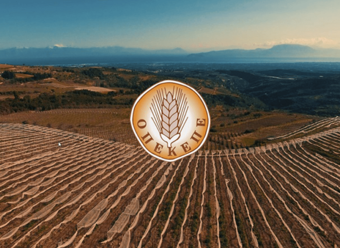 Εντωμεταξύ, ο αχάμπαρος ΟΑΕΔ προκήρυξε 100 θέσεις εργασίας στον ΟΠΕΚΕΠΕ