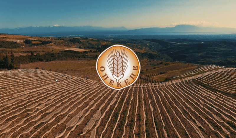 Εντωμεταξύ, ο αχάμπαρος ΟΑΕΔ προκήρυξε 100 θέσεις εργασίας στον ΟΠΕΚΕΠΕ