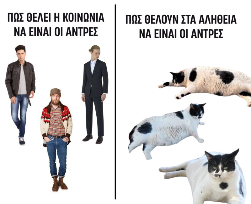 Καλώς ήρθατε στο Chonkus Maximus καλοκαίρι