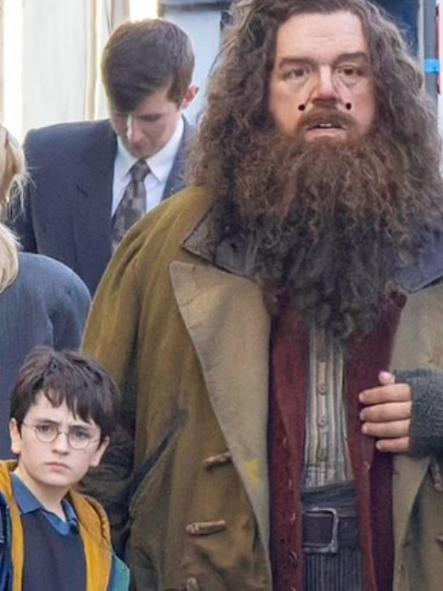 Τσεκάρετε νέο Harry Potter και νέο Hagrid, σε περίπτωση που ξεχάσατε ότι βγαίνει σειρά