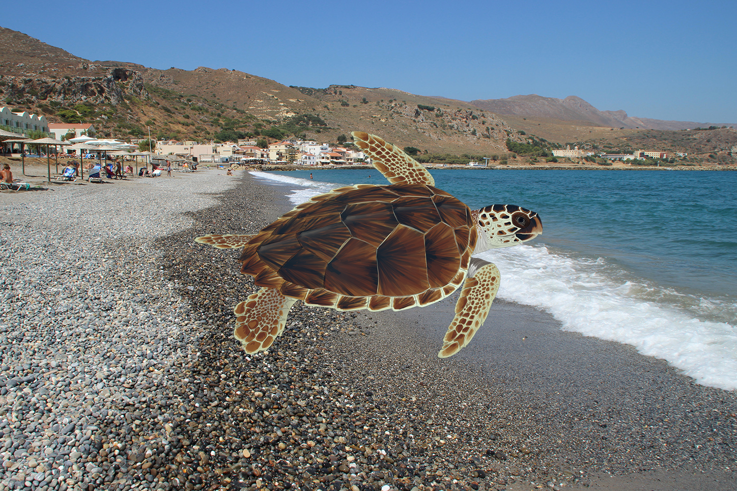 kolimbari_beach copy