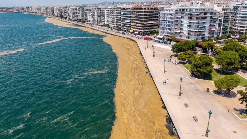 Θεσσαλονίκη: Νέα γλιτσερά και αηδιαστικά πράγματα έχουν σκεπάσει τη θάλασσα