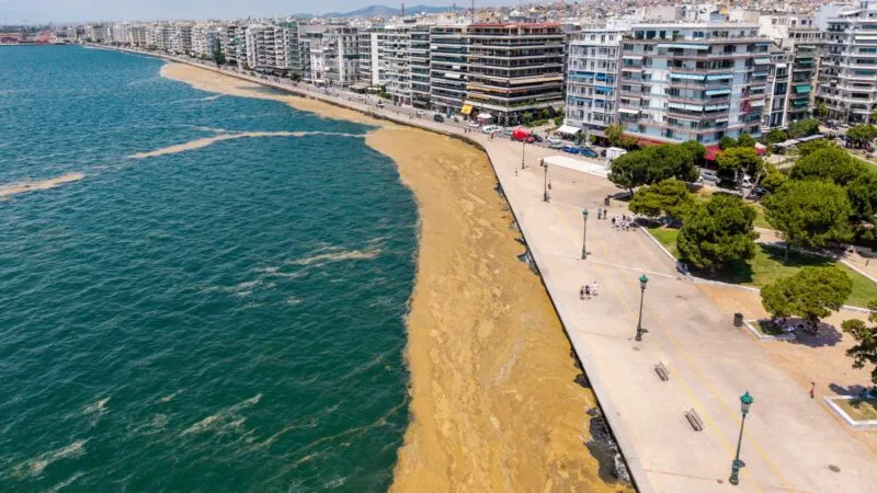 Θεσσαλονίκη: Νέα γλιτσερά και αηδιαστικά πράγματα έχουν σκεπάσει τη θάλασσα