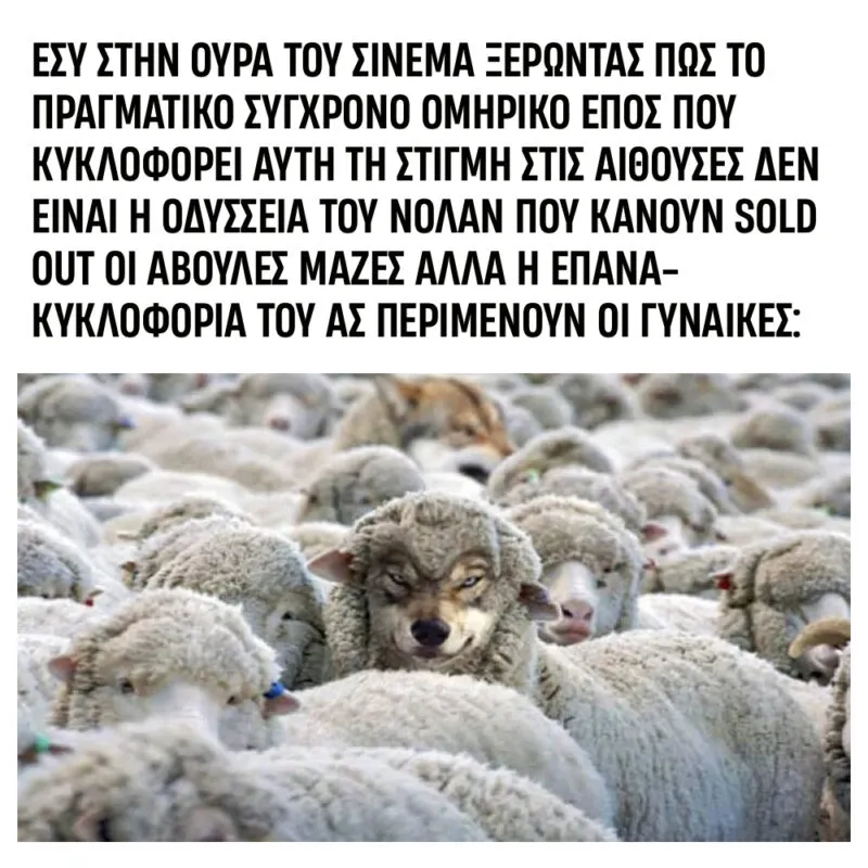 ΔΕΙΤΕ ΝΟΛΑΝ ΕΣΕΙΣ ΜΠΕΕΕΕΕ