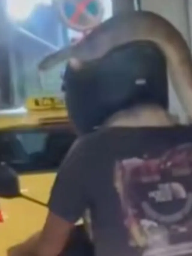 Φιδόφιλος Αθηναίος έκανε βόλτα με το μηχανάκι και τον pet βόα του