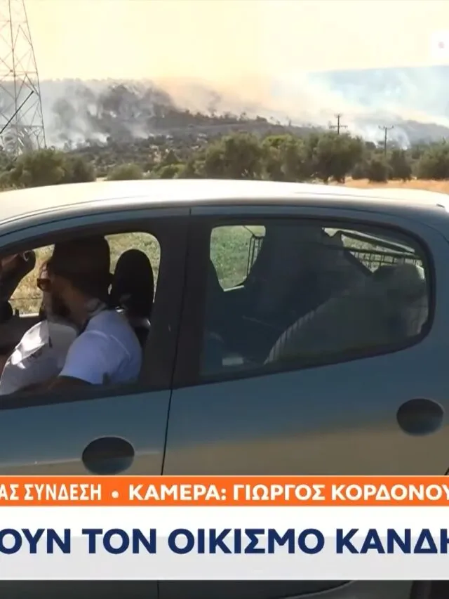 Μέγαρα: Η στιγμή που εθελοντές σώζουν την τελευταία στιγμή 2 σκυλιά