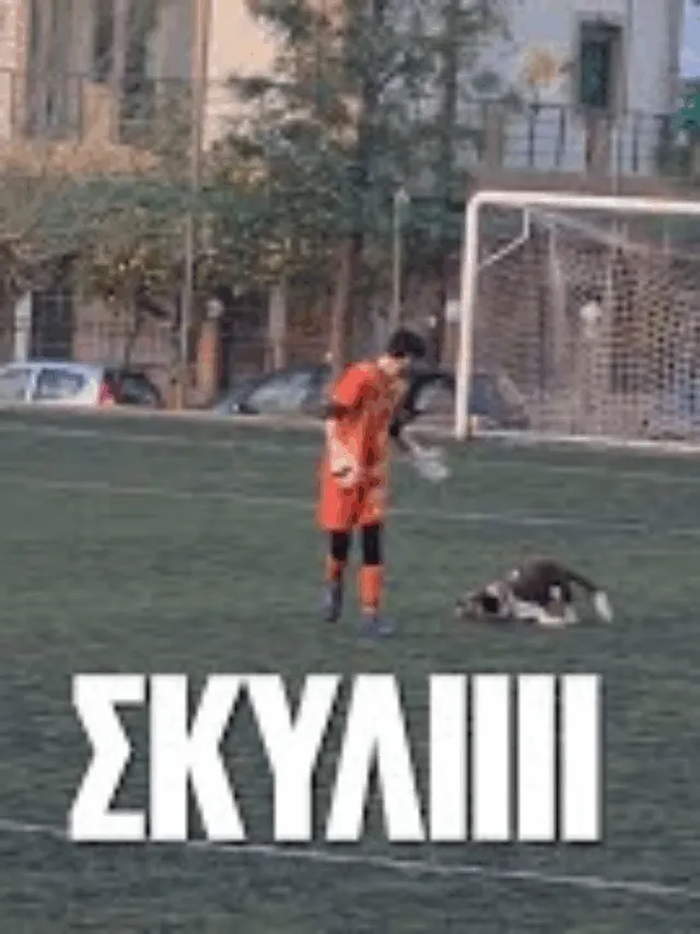ΠΑΓΚΟΣΜΙΑ ΗΜΕΡΑ ΣΚΥΛΟΥ