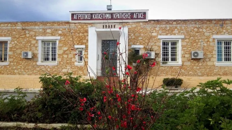 Μερακλής κρατούμενος φρόντιζε χασισόδεντρα δίπλα στις αγροτικές φυλακές που κρατούνταν